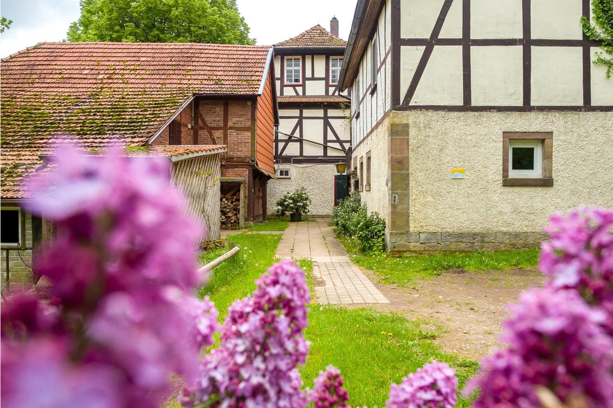 Forsthaus Halbemark Bad Sooden-Allendorf Exterior photo